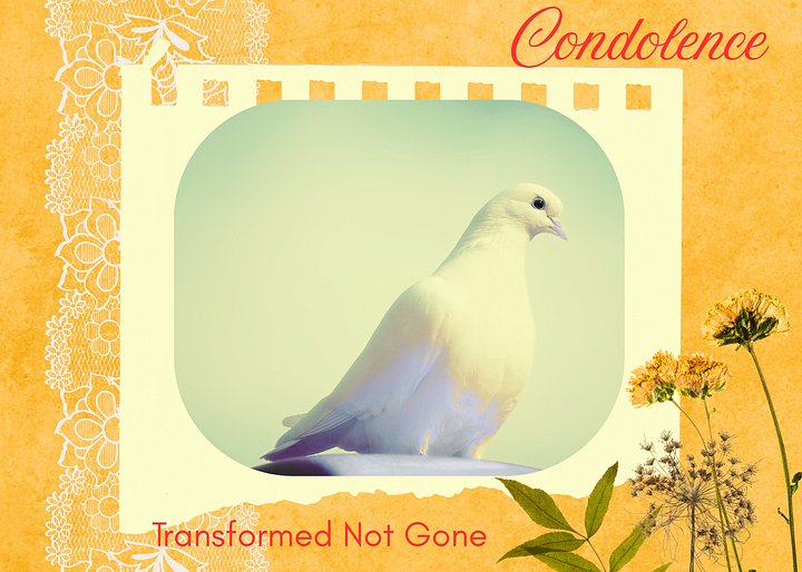 Transformed Not Gone: Condolence product image (1)