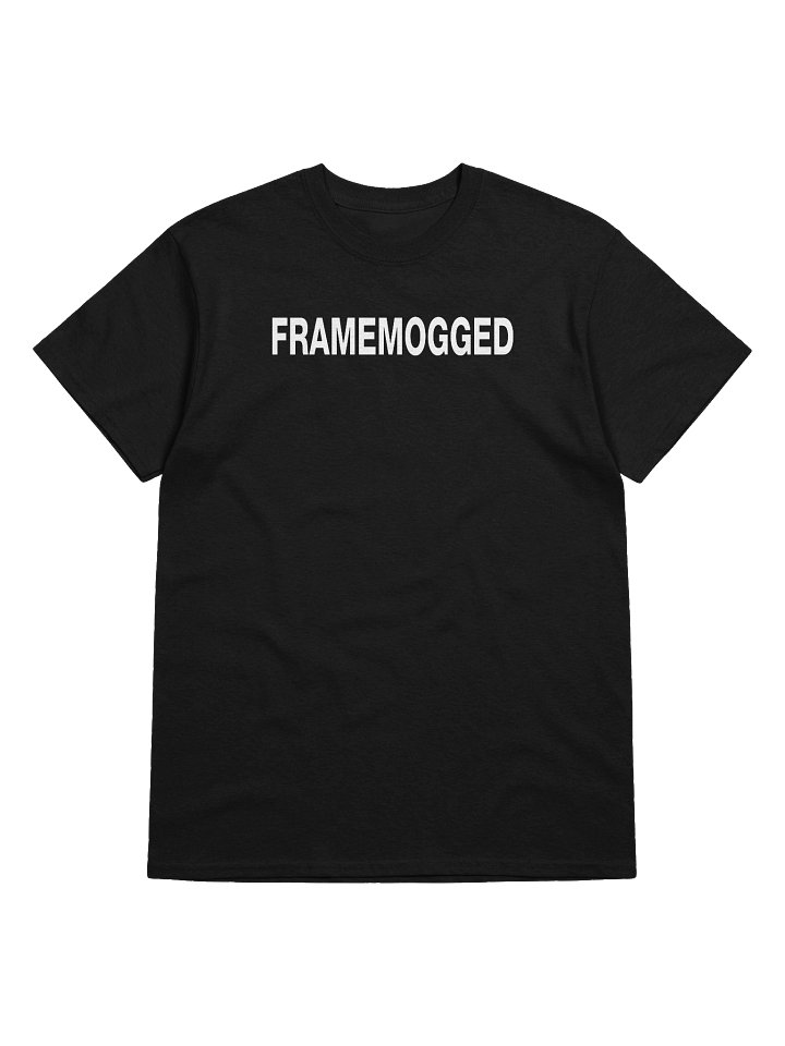 FRAMEMOGGED T-Shirt product image (1)