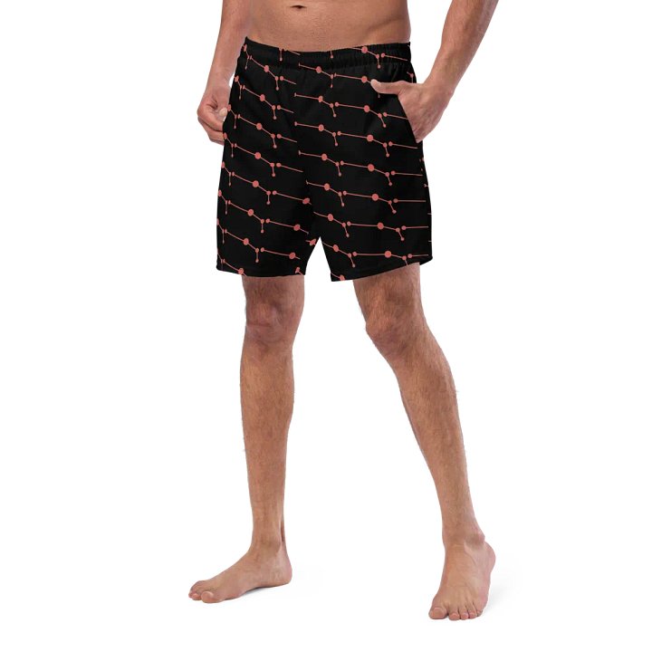 Aries Geometric Swim Trunks product image (2)
