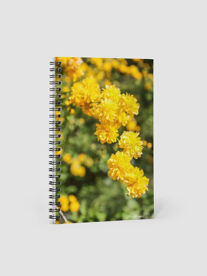 📓 Notebook Collection PURE – Corète du Japon product image (1)