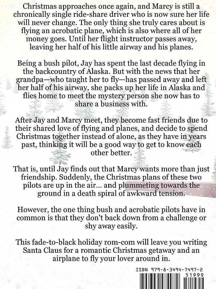 A Plane Christmas: A Novel product image (2)