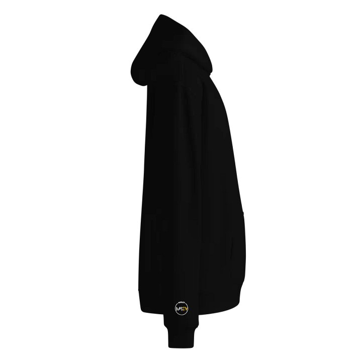 Embroidered PLEB Hoodie product image (2)