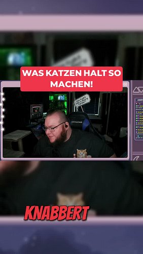 Was Katzen halt so anstellen! 😂| Stream Clip 

Wir quatschen über Katzen und ihre ganz besonderen Talente. Plötzlich fällt mi...