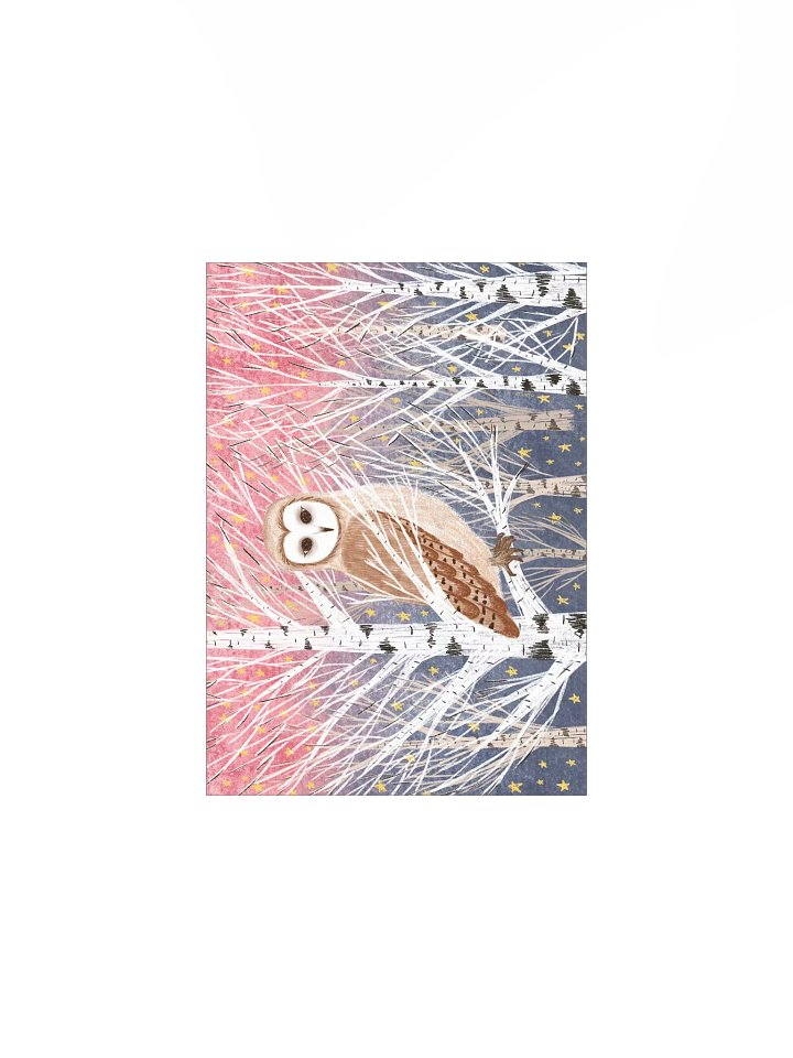 the magical owl 2 product image (3)