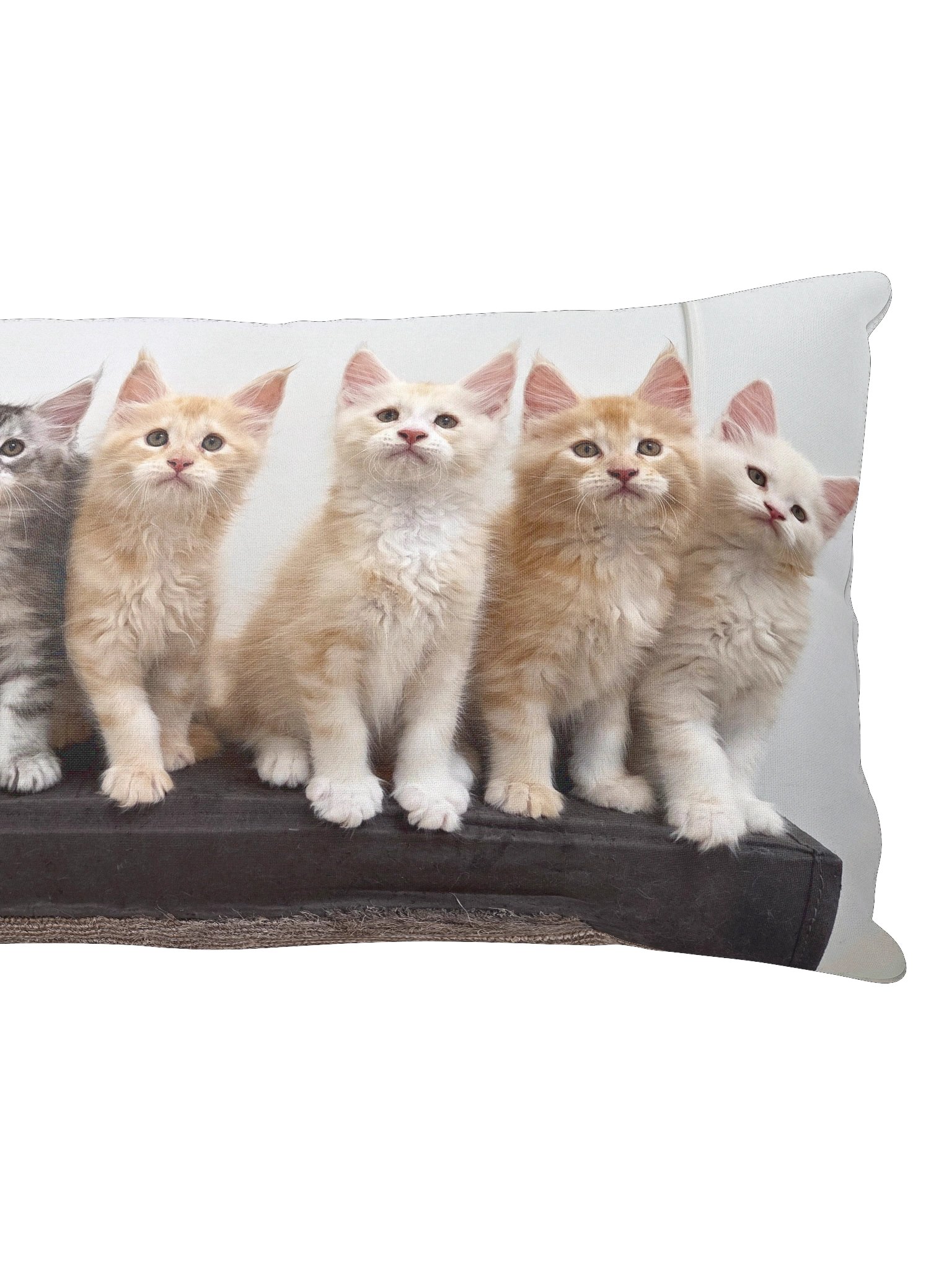 Freya's Kittens - Pillow product image (5)