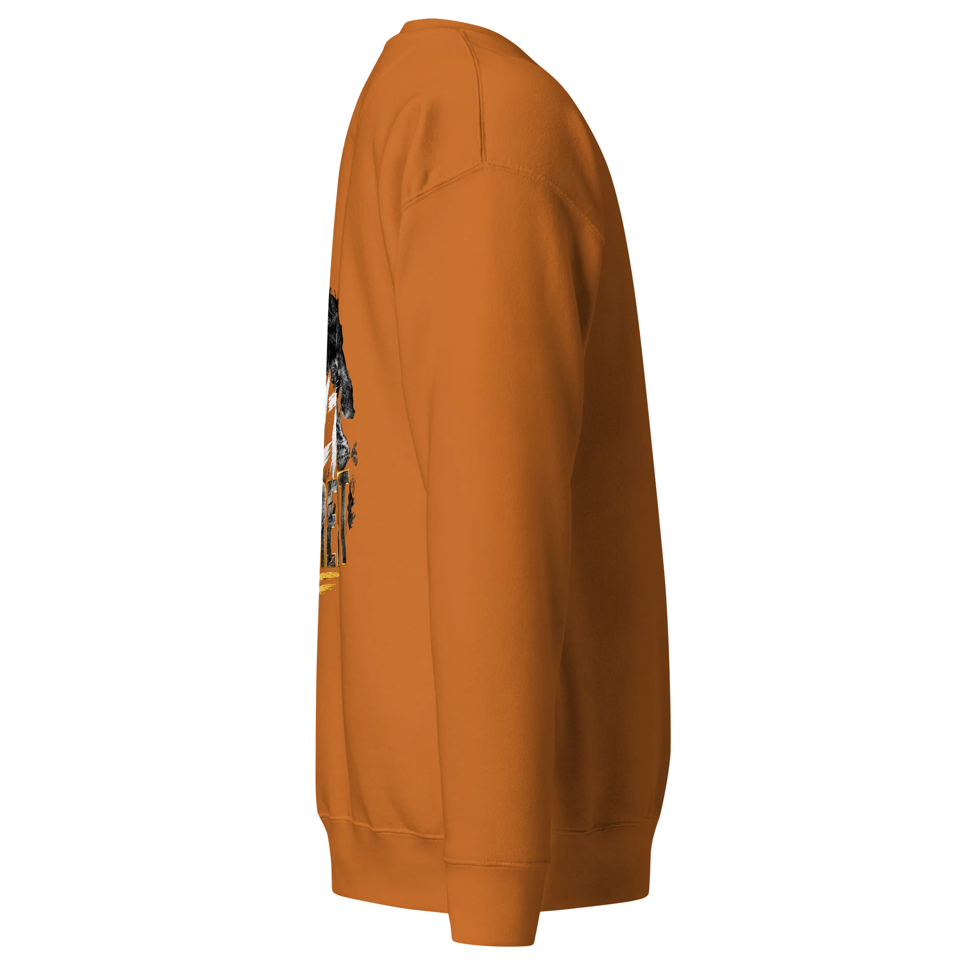 BUILT DIFFERENT Lion Streetwear Sweatshirt product image (4)