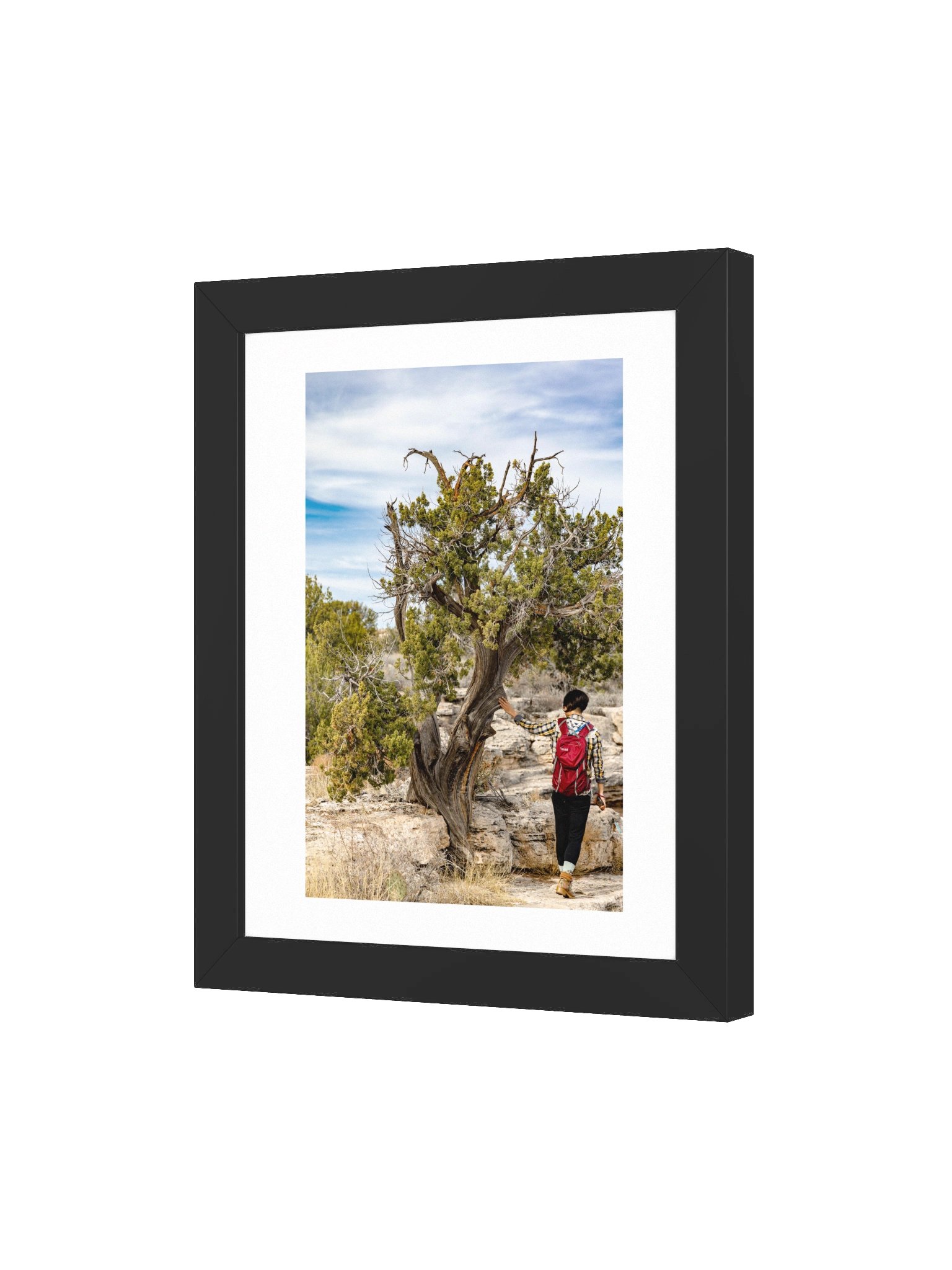 Desert Tree Touch Framed Poster product image (7)