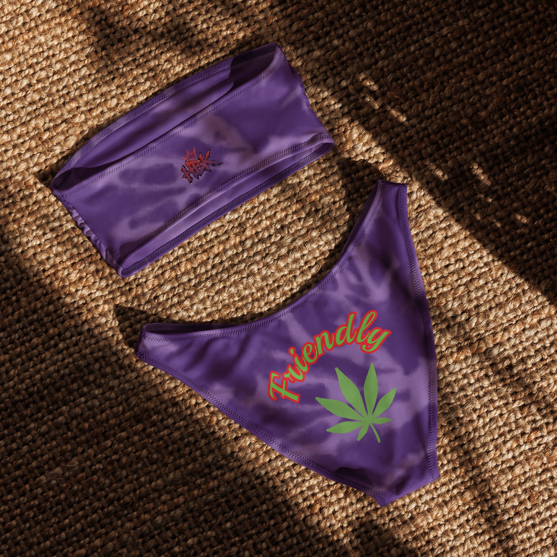 420 Bandeau Bikini product image (3)