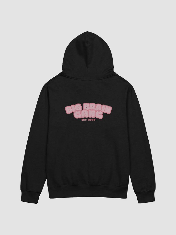 Brian Howdy / Big Brain Gang Hoodie product image (15)