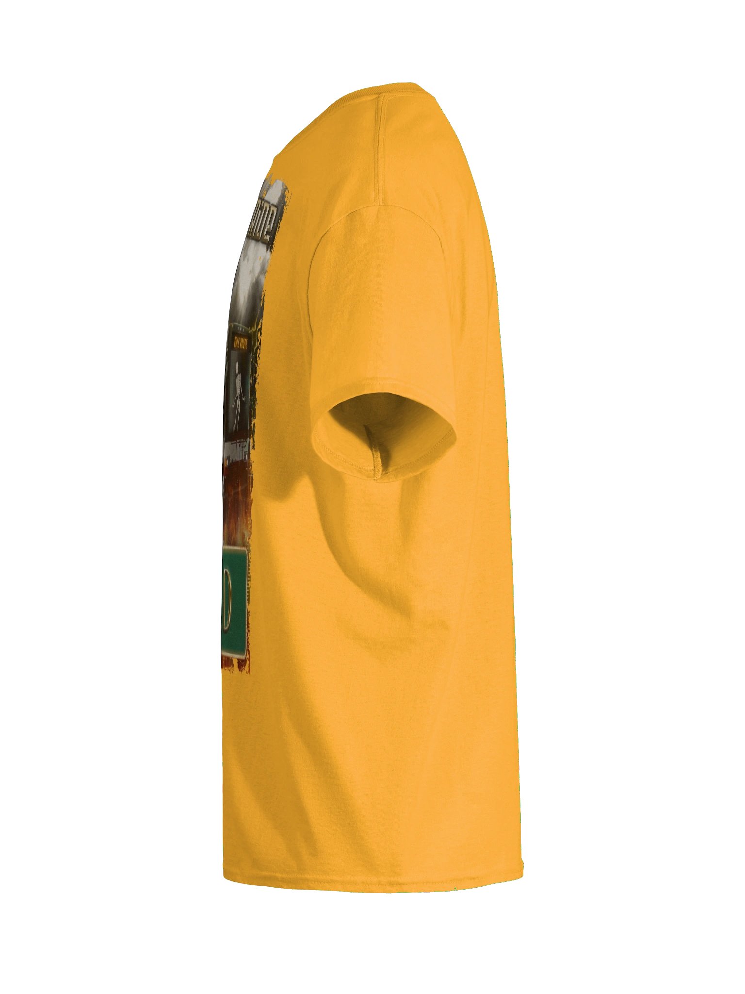 AppalShirt (Gold) product image (11)