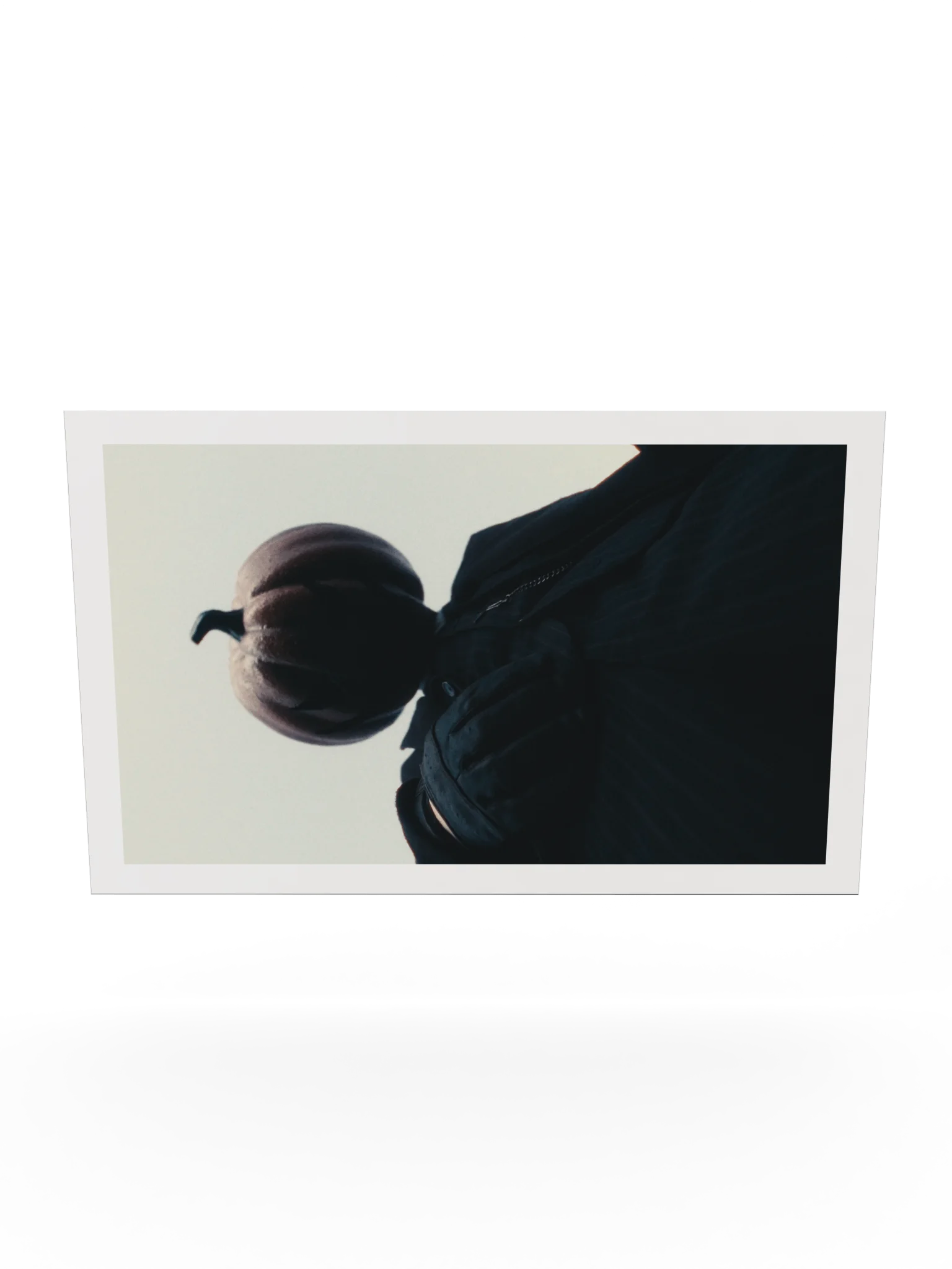 THE PUMPKING product image (20)