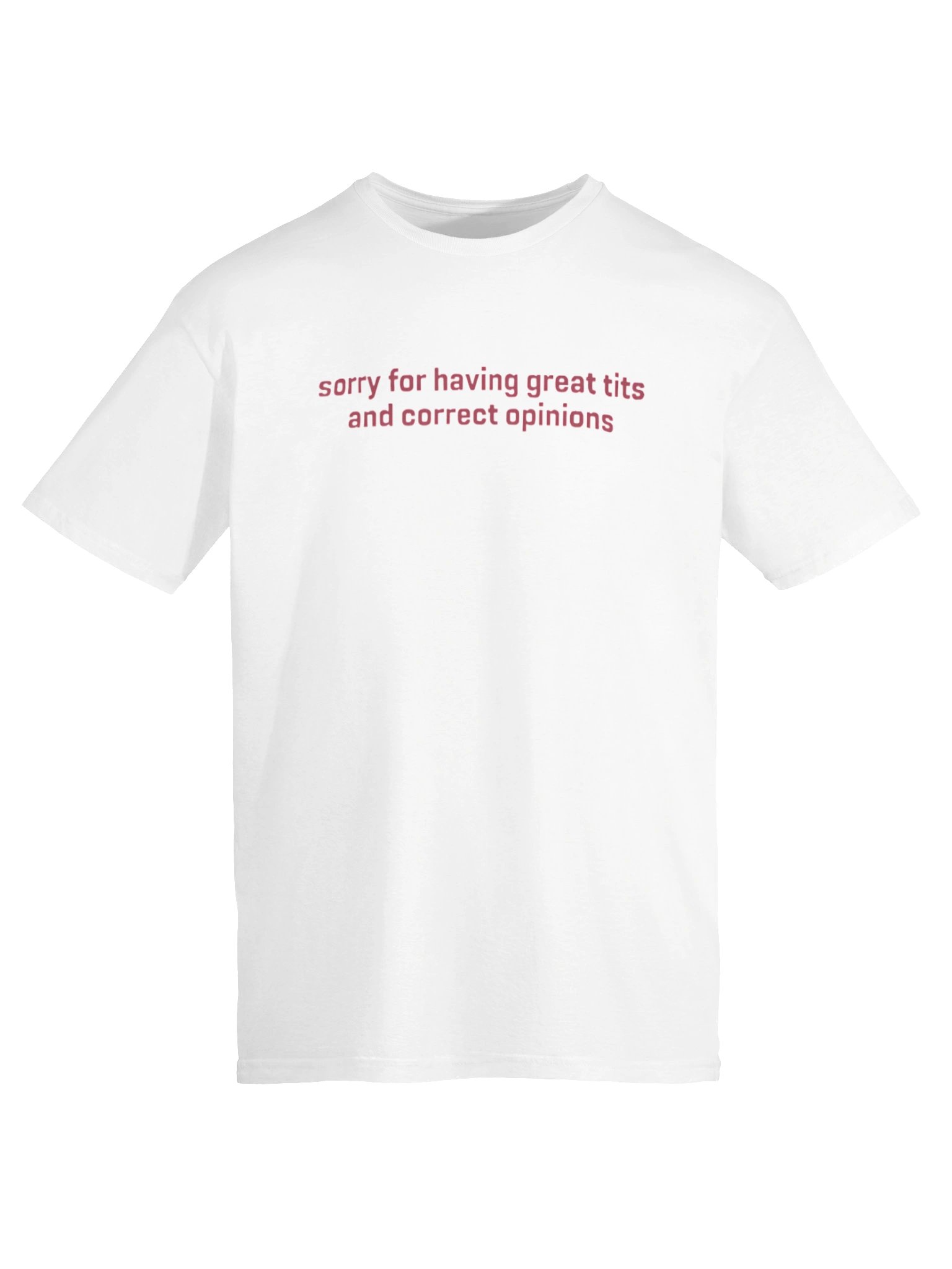 Sorry For Having Great Tits And Correct Opinions Feminist Statement Shirt product image (13)