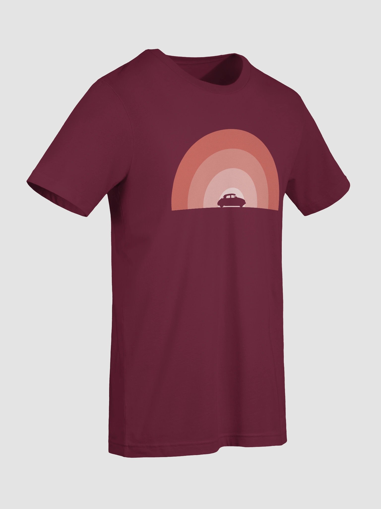 Citroën DS Monochrome Rainbow (Maroon) product image (9)