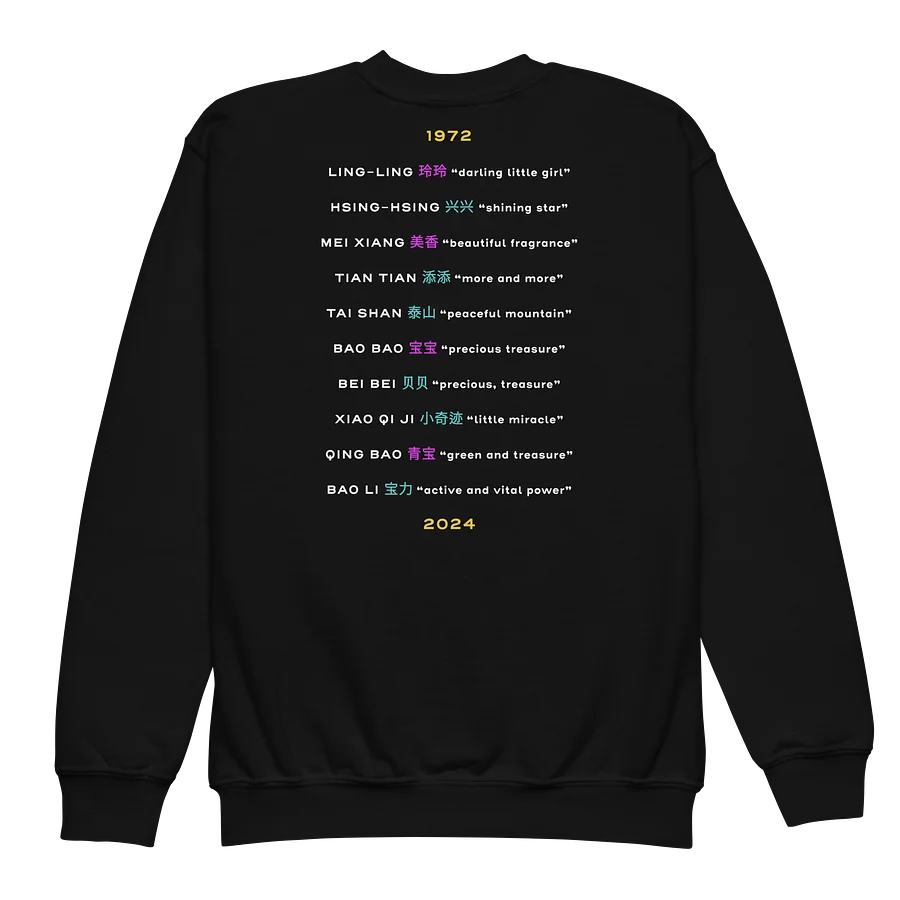 Panda Sweatshirt (Youth) Image 3