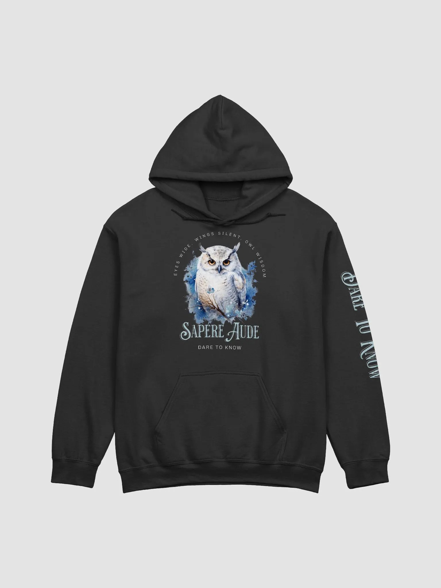 Sapere Aude Hoodie product image (4)