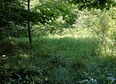 Free Posts's tag thumbnail