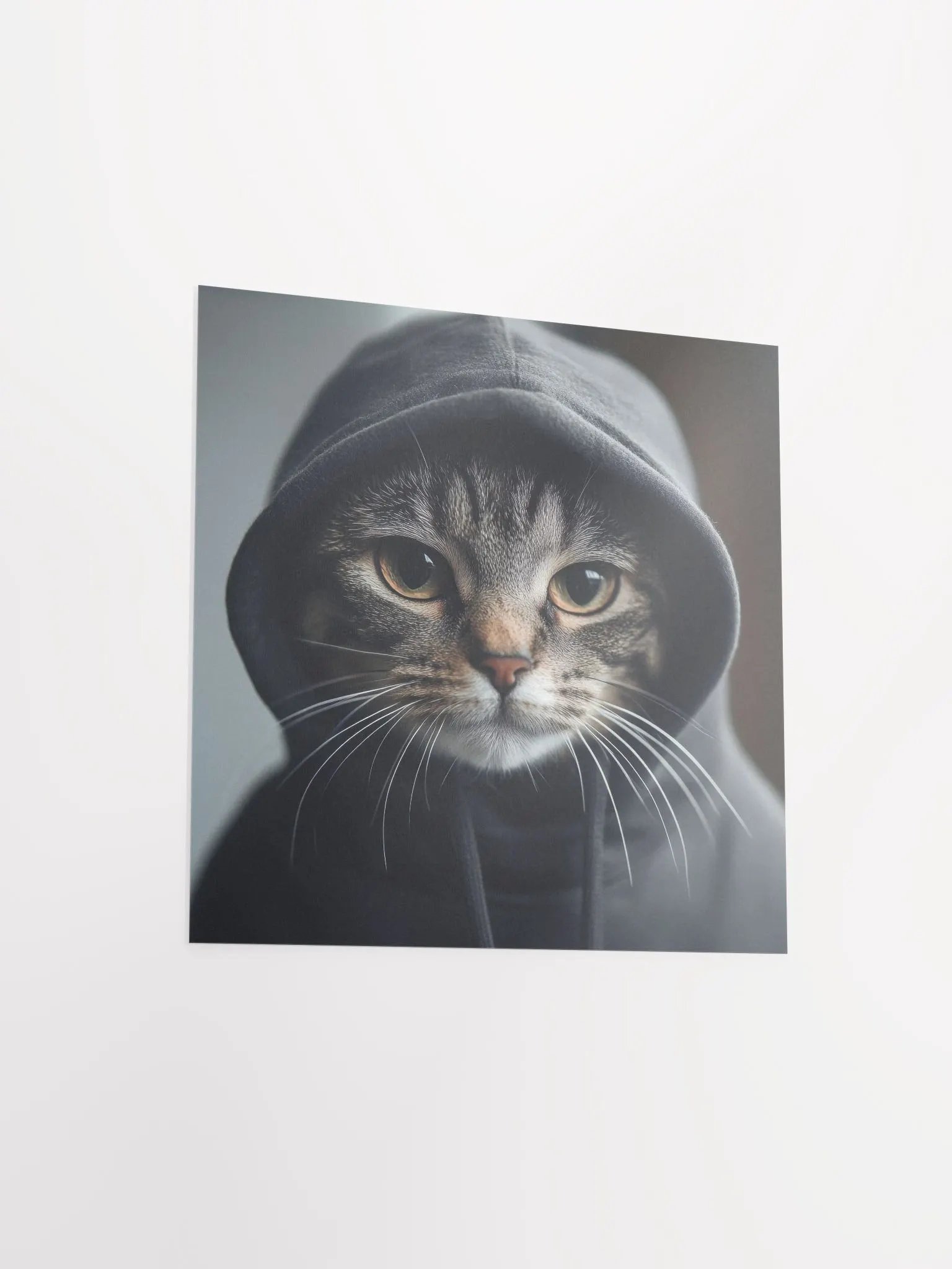 Hacker Cat product image (3)