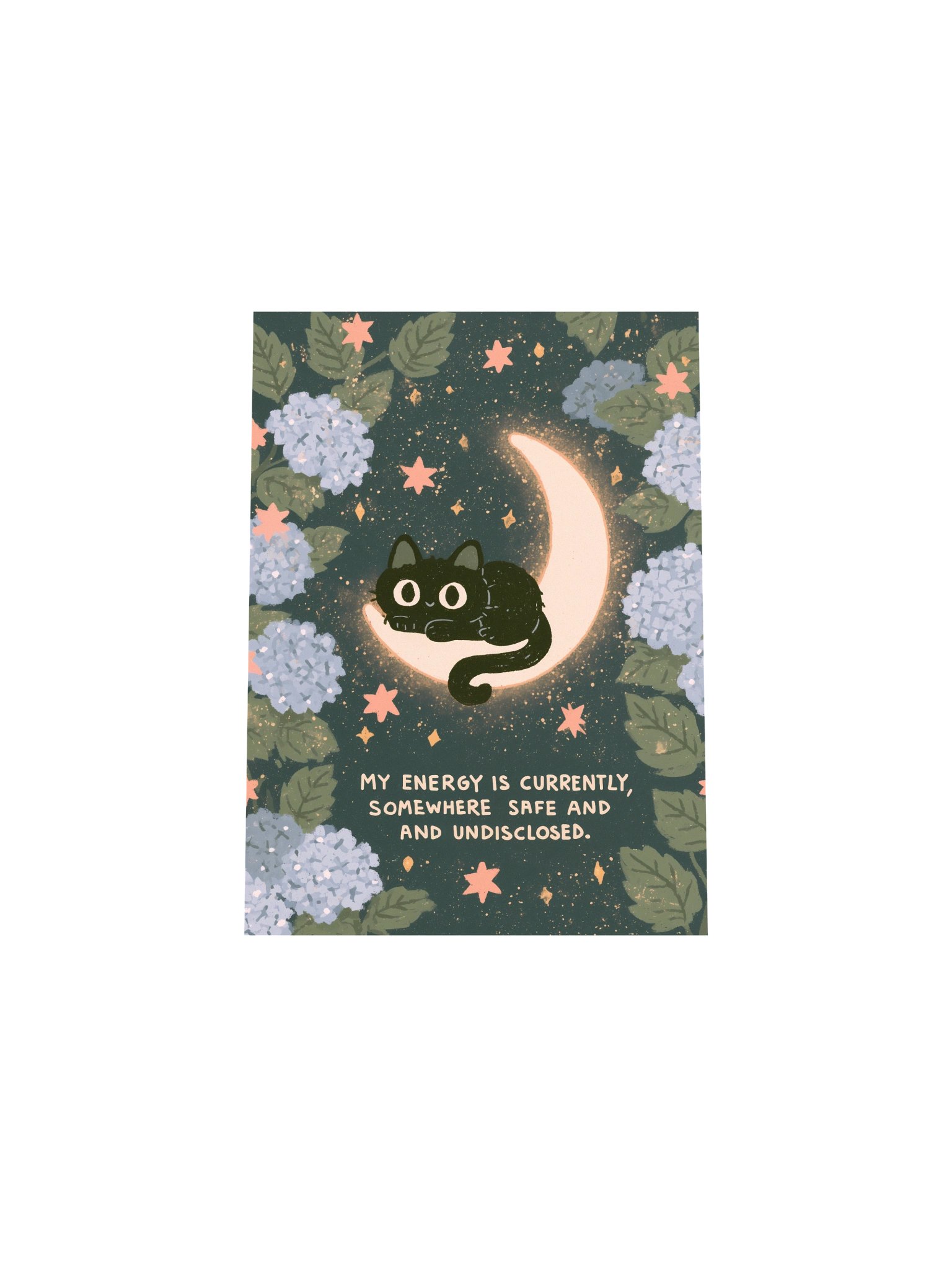 Safe & Undisclosed Cat Moon Poster product image (30)