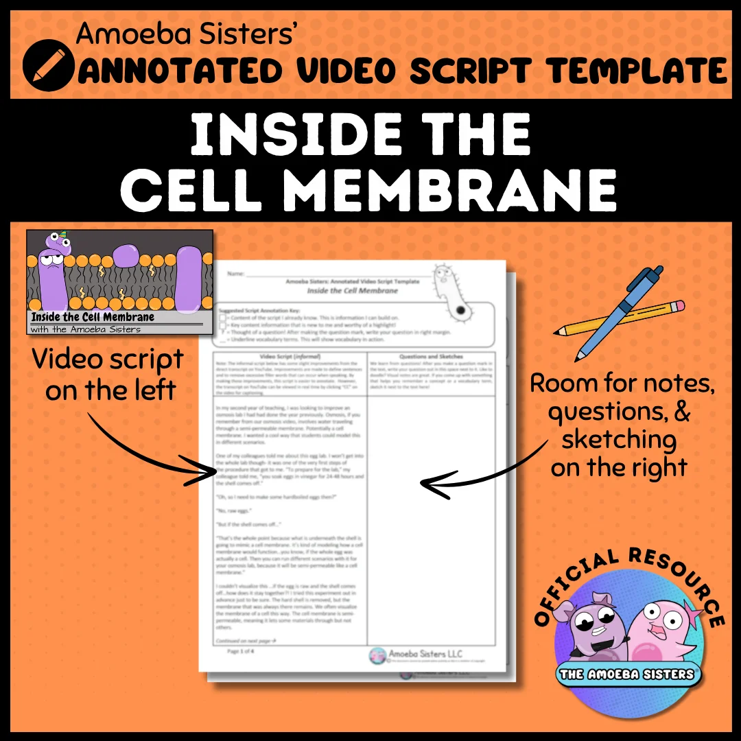 Amoeba Sisters Inside the Cell Membrane Annotated Video Script Template PDF product image (1)