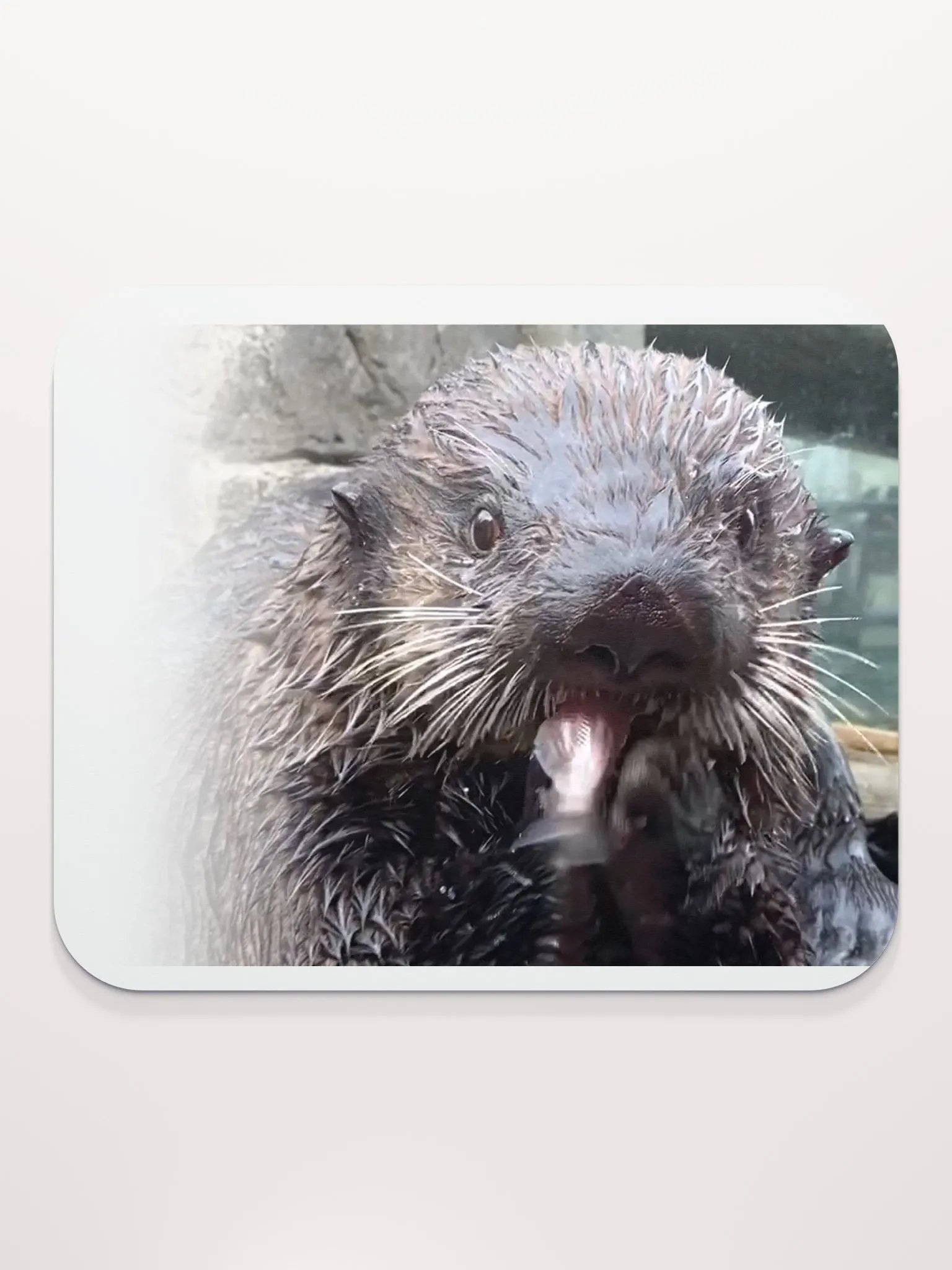 The King's Mousepad product image (2)