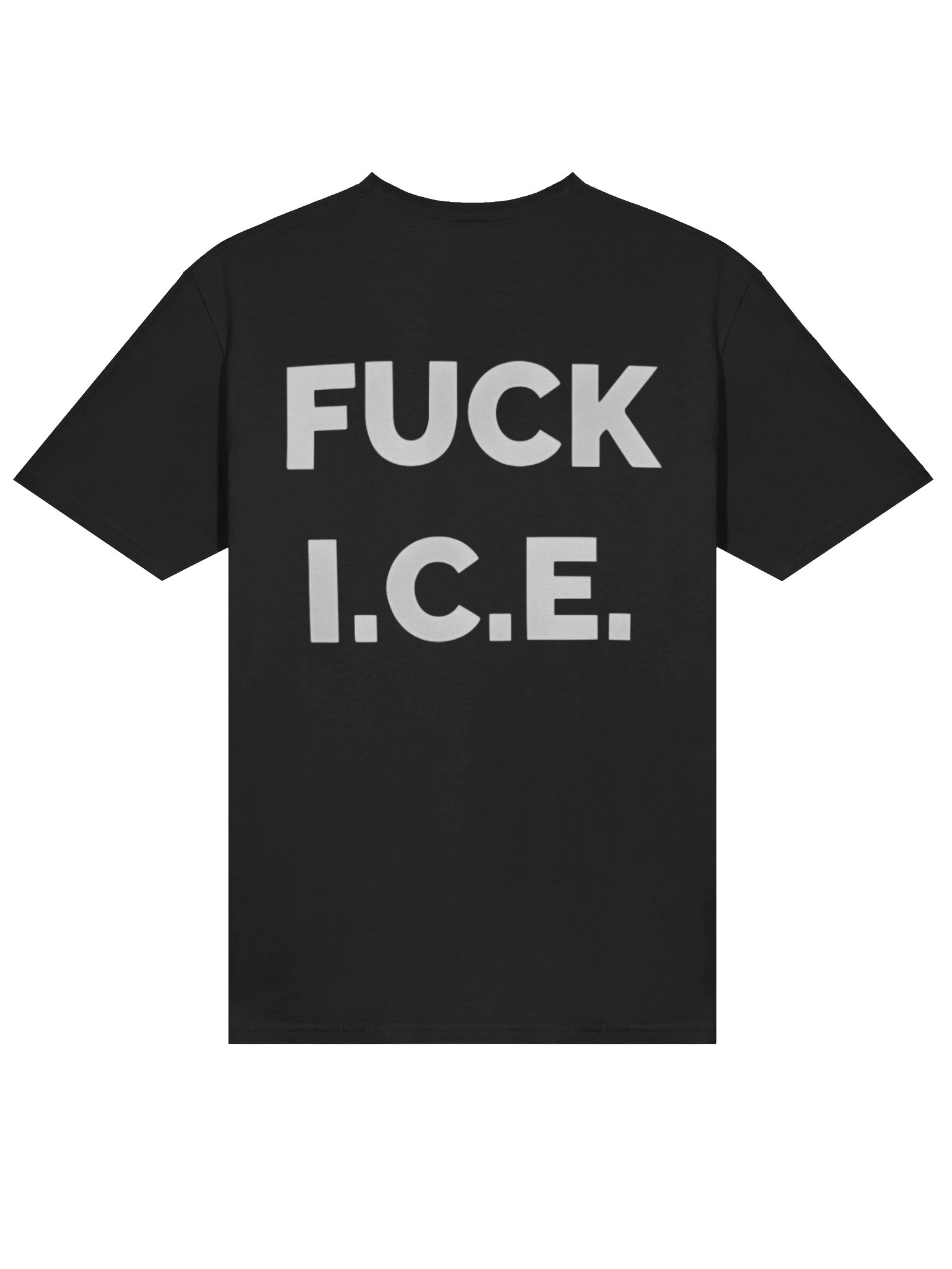 Stolen Land, No Human Illegal Shirt – Radical Truth Anti-ICE product image (4)