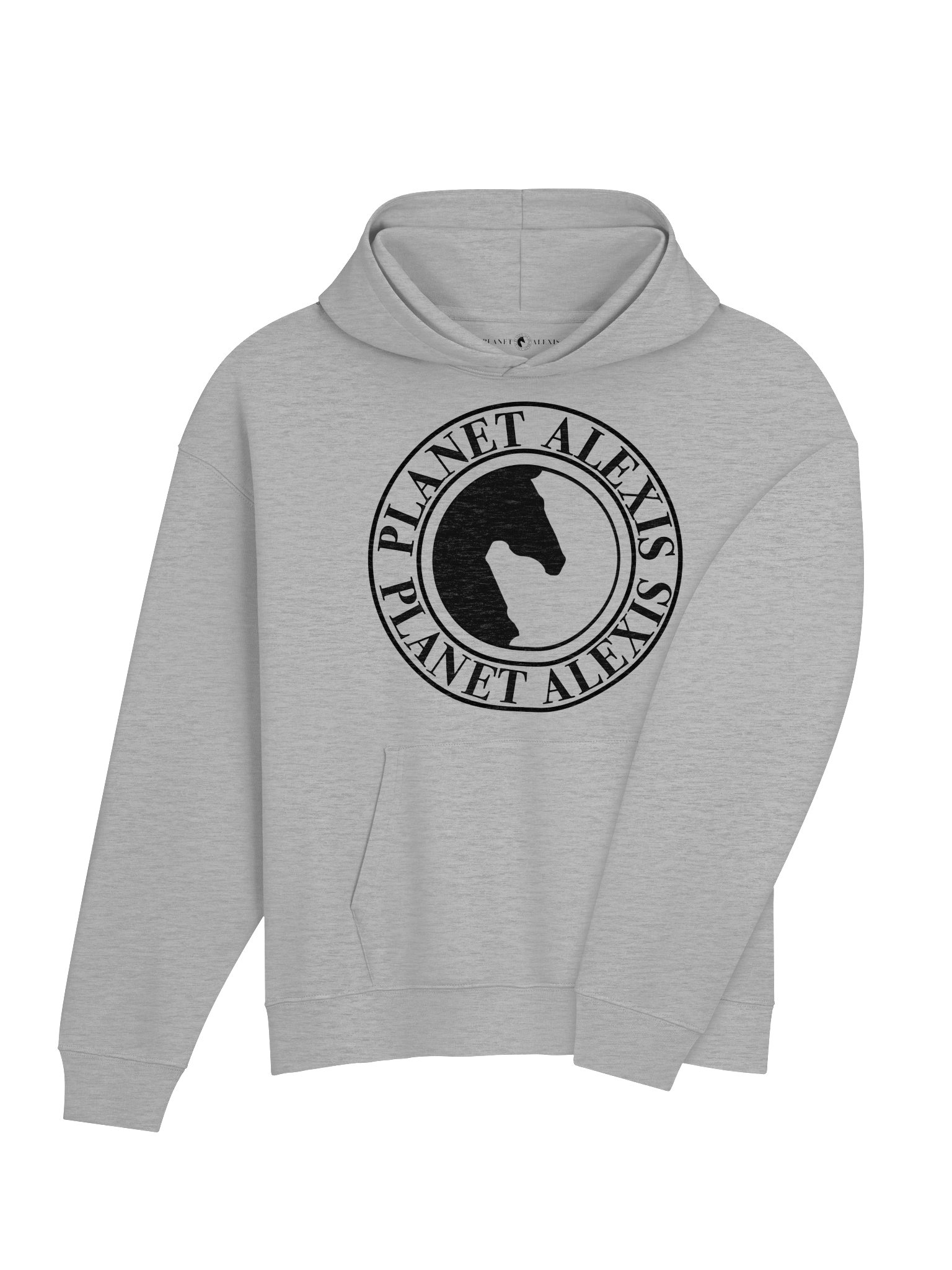 Organic Cotton Blend Hoodie product image (3)