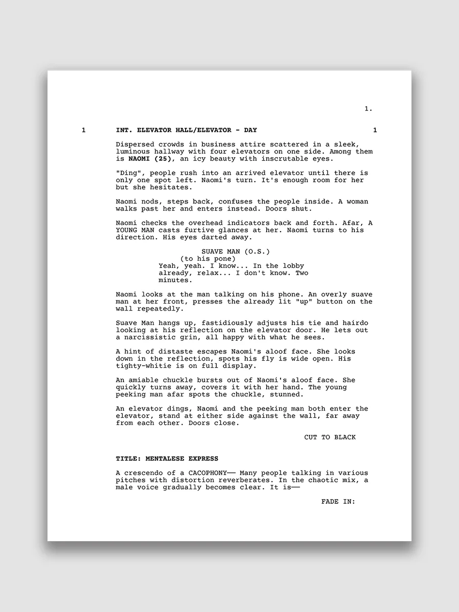 Mentalese Express Screenplay product image (2)