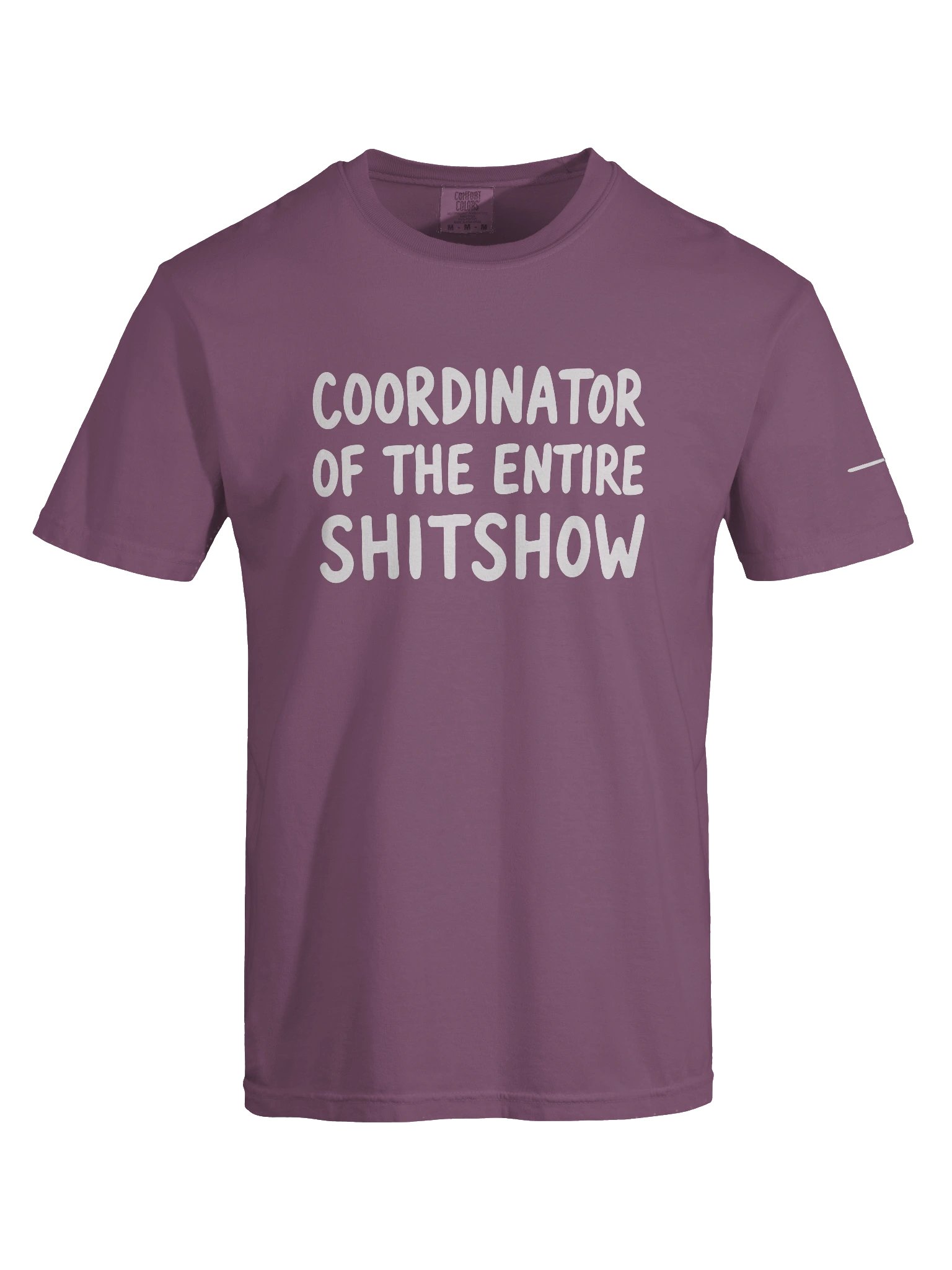 Somebody-Has-To-Be-One Tee product image (19)