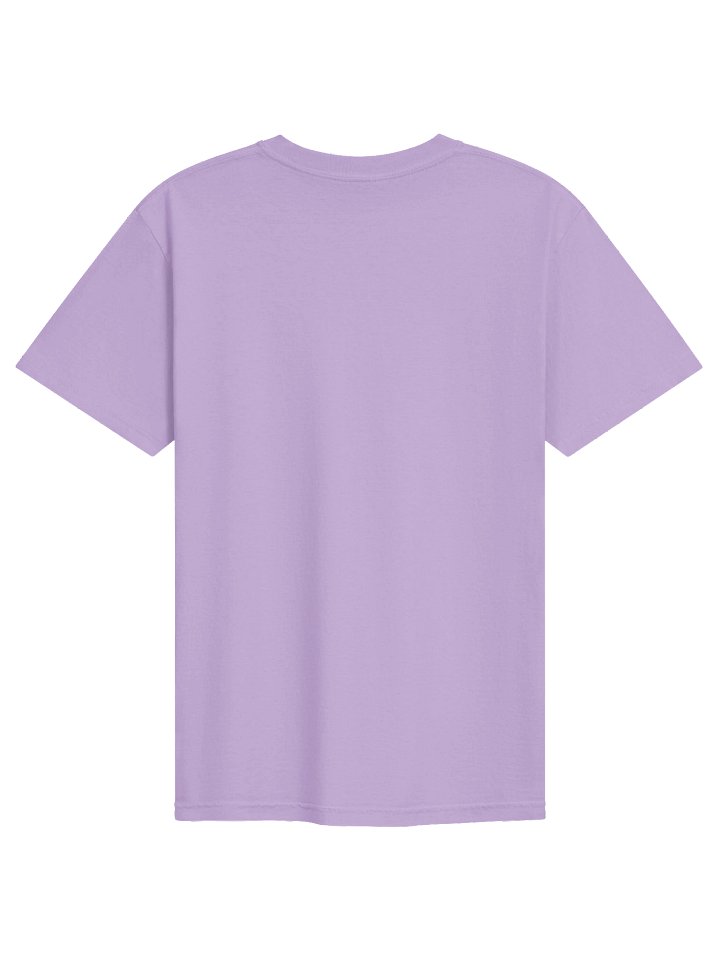 'BBY' Pink Embroidered Comfort Colors T-Shirt product image (18)