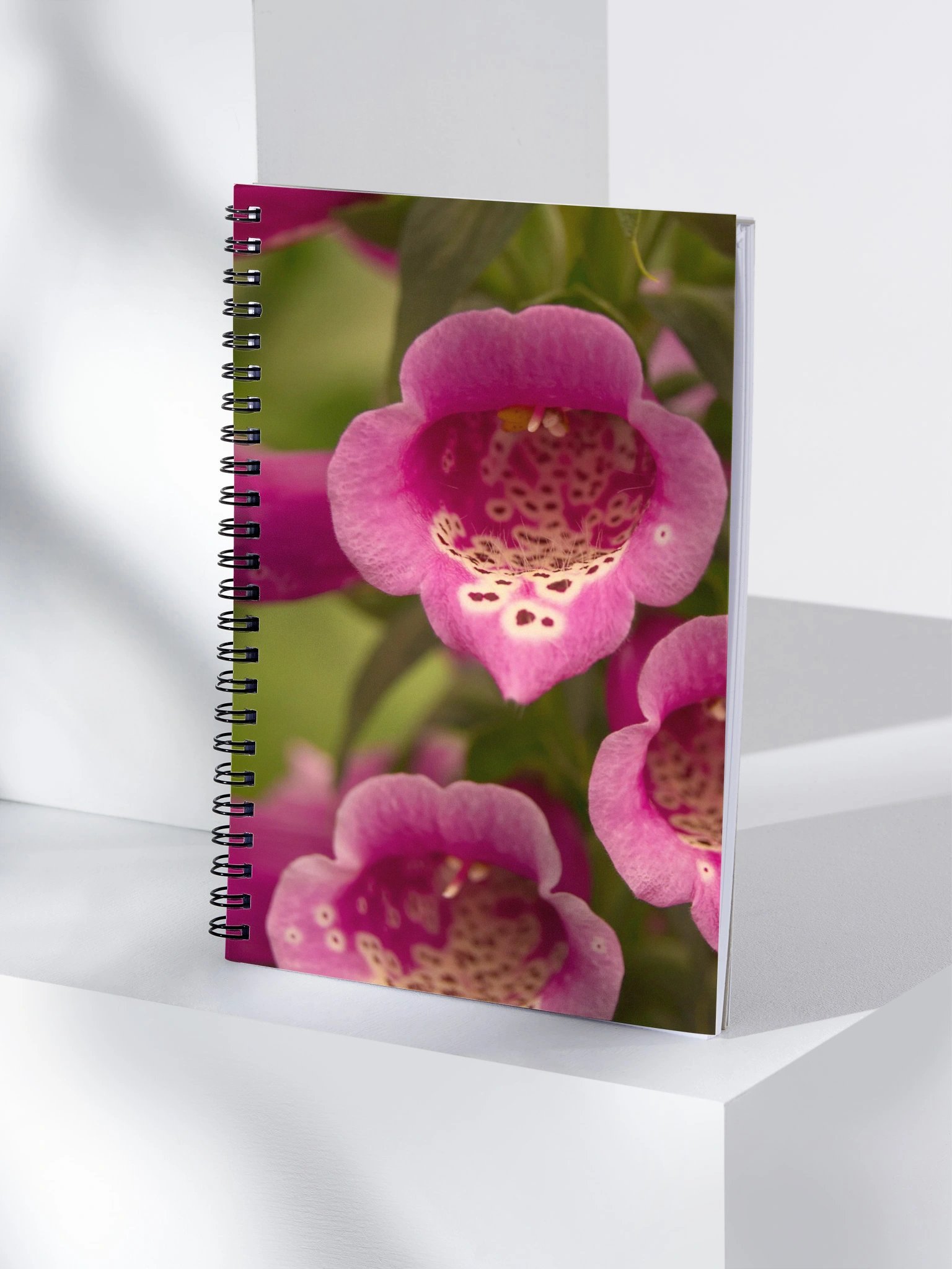 Foxglove Notebook product image (4)