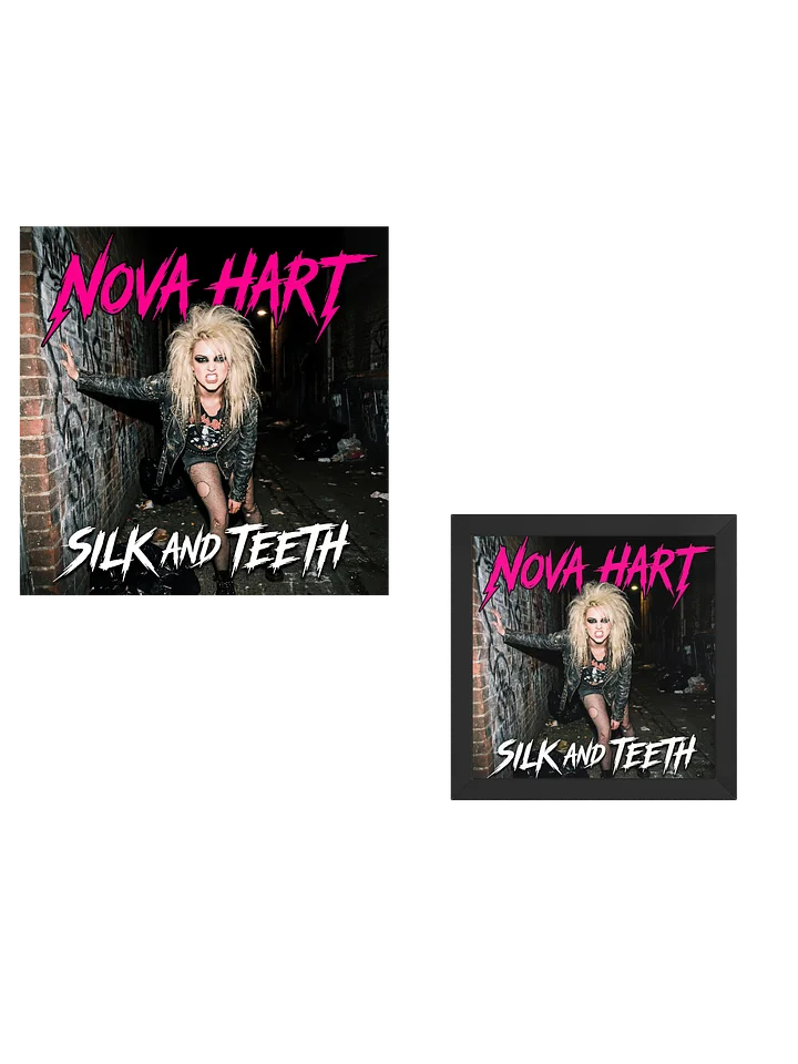 SILK AND TEETH — Digital Album + Framed Cover Art Bundle product image (1)