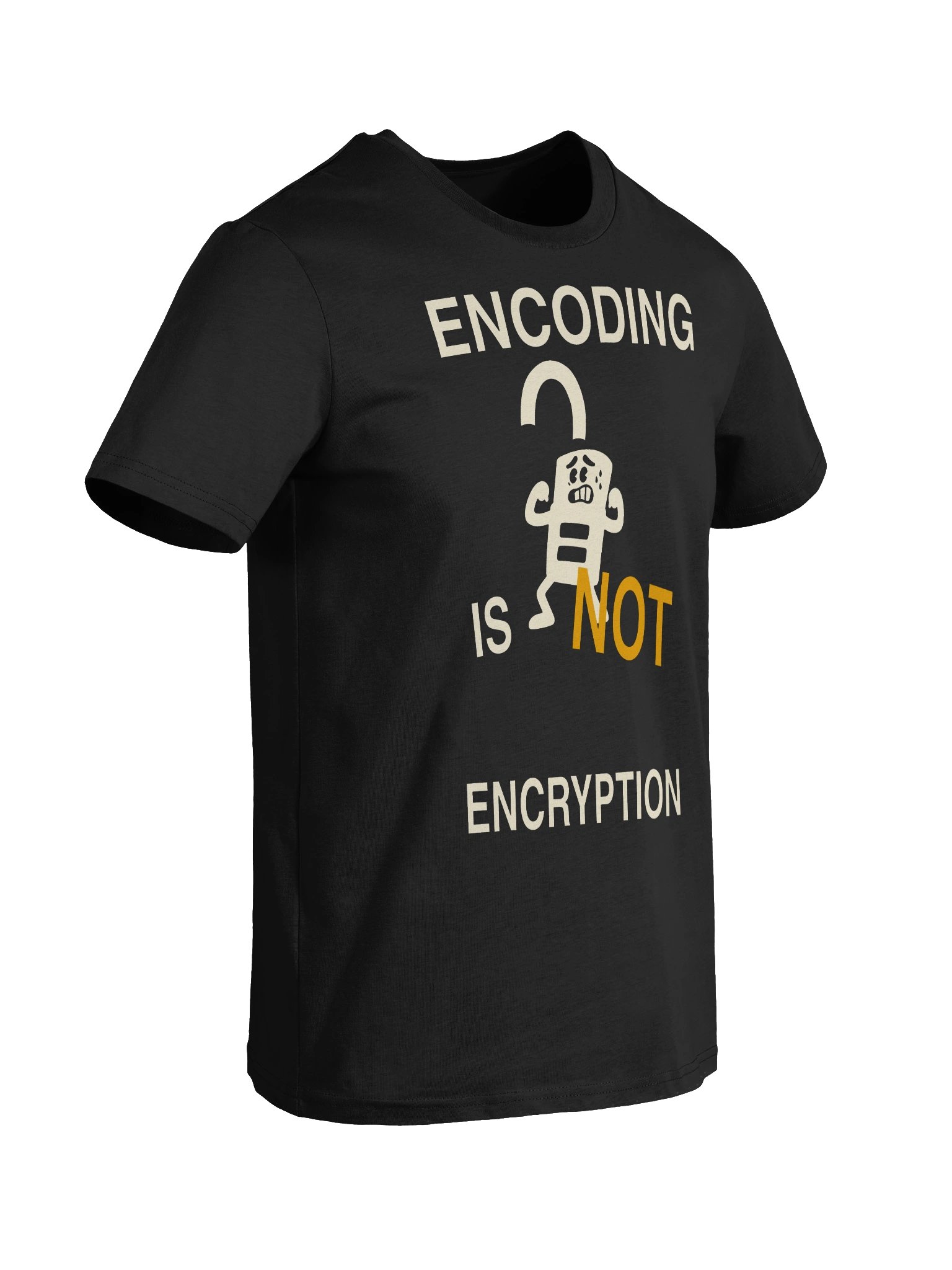 Encoding Is Not Encryption product image (4)