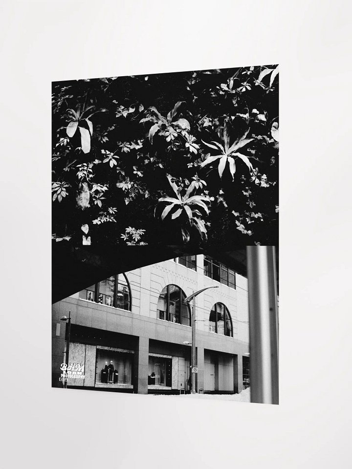 CONCEPT: NOIRÉ product image (2)