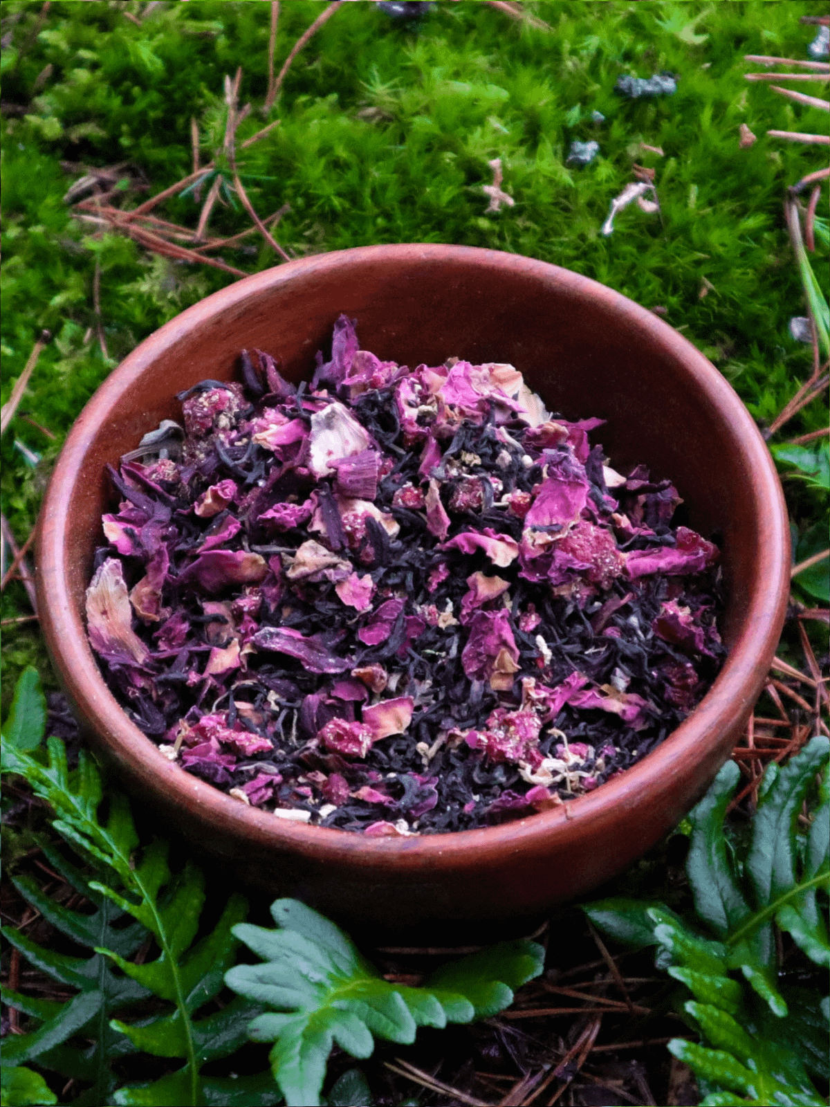 Forest Muse Tea (B) | Elven Fairy Teas