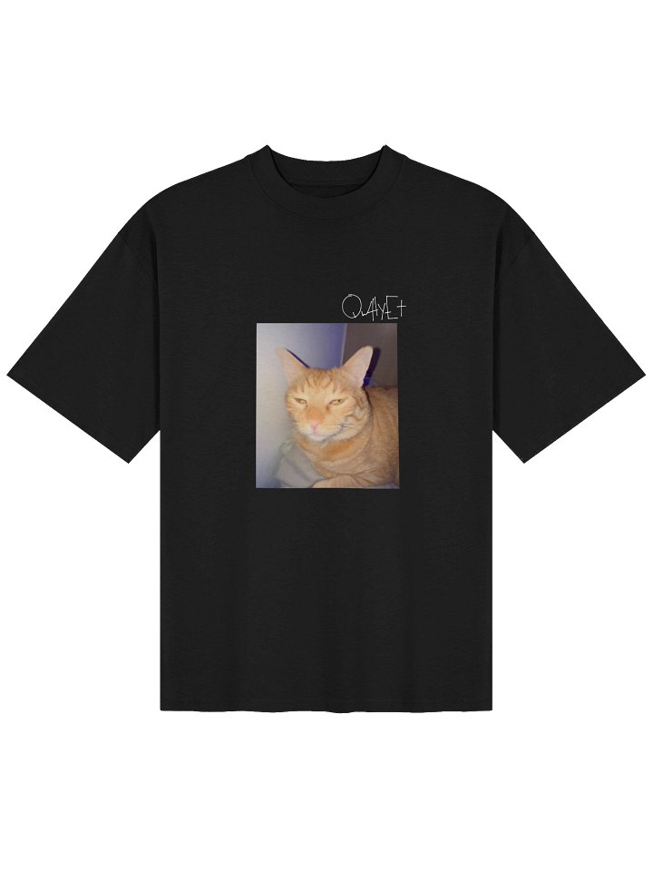 QWHYET LITTY KITTY Oversized Tee (WHITE LOGO) product image (1)