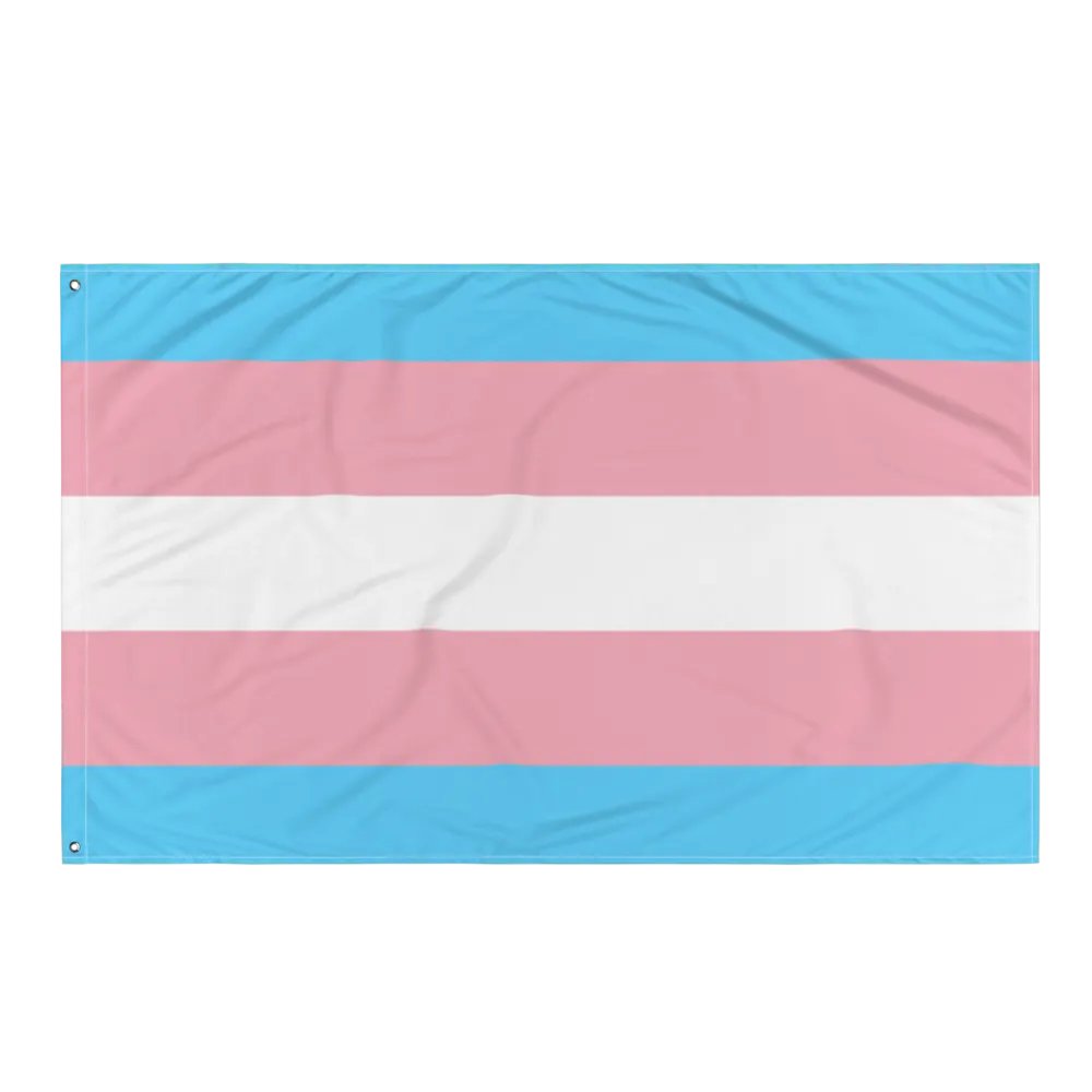 Transgender Flag product image (3)