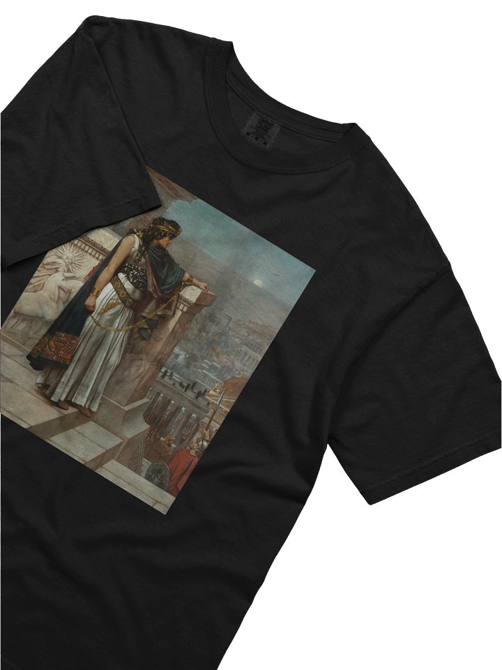 "Queen Zenobia's Last Look Upon Palmyra" by Herbert Schmalz T-Shirt product image (1)