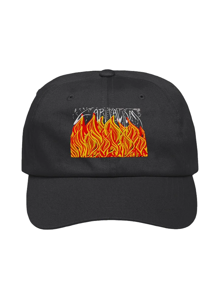 Burn Capitalism Down cap product image (1)