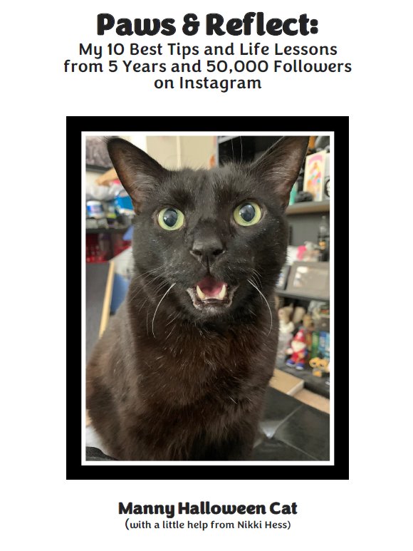Paws & Reflect ebook product image (1)