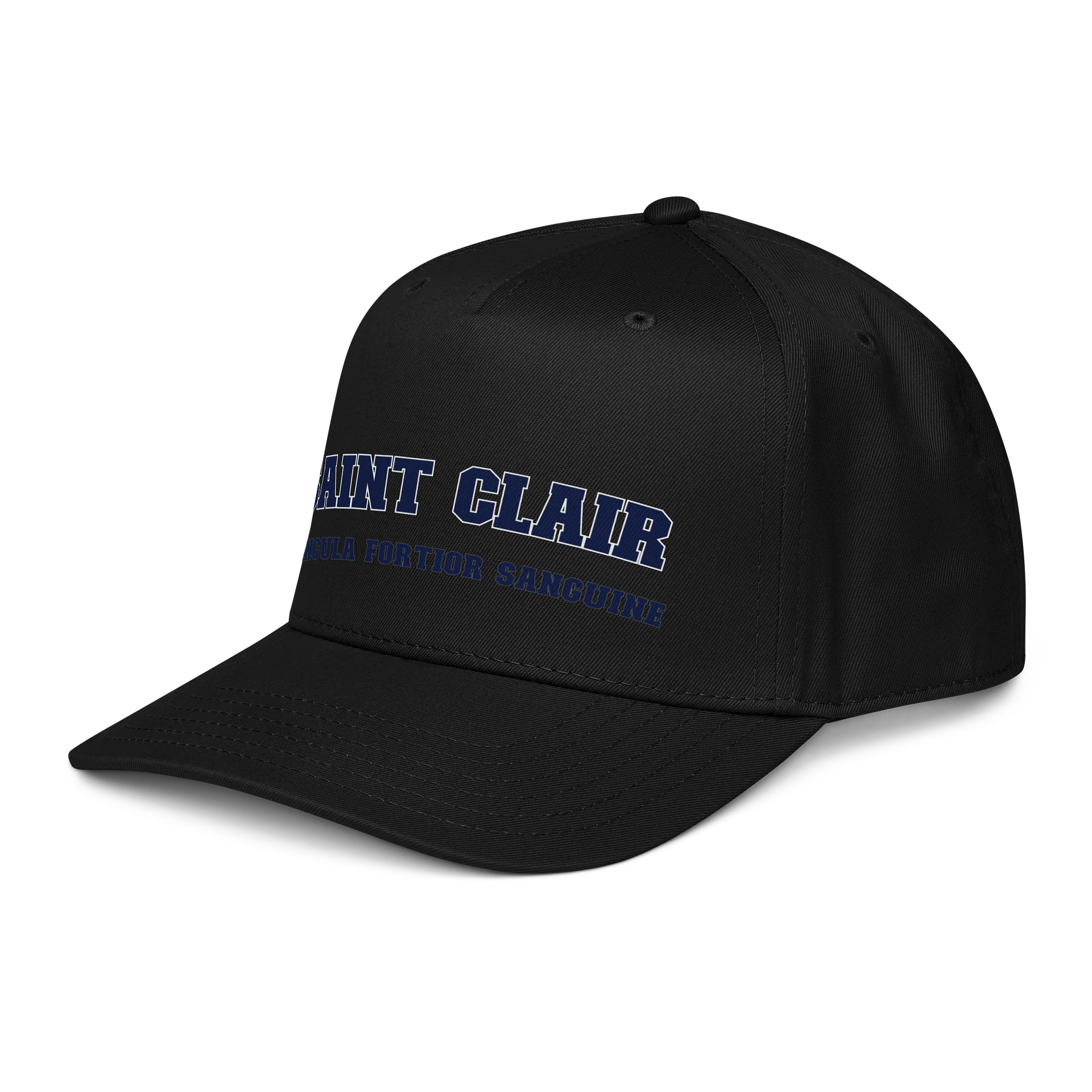 Saint Clair College Hat product image (5)