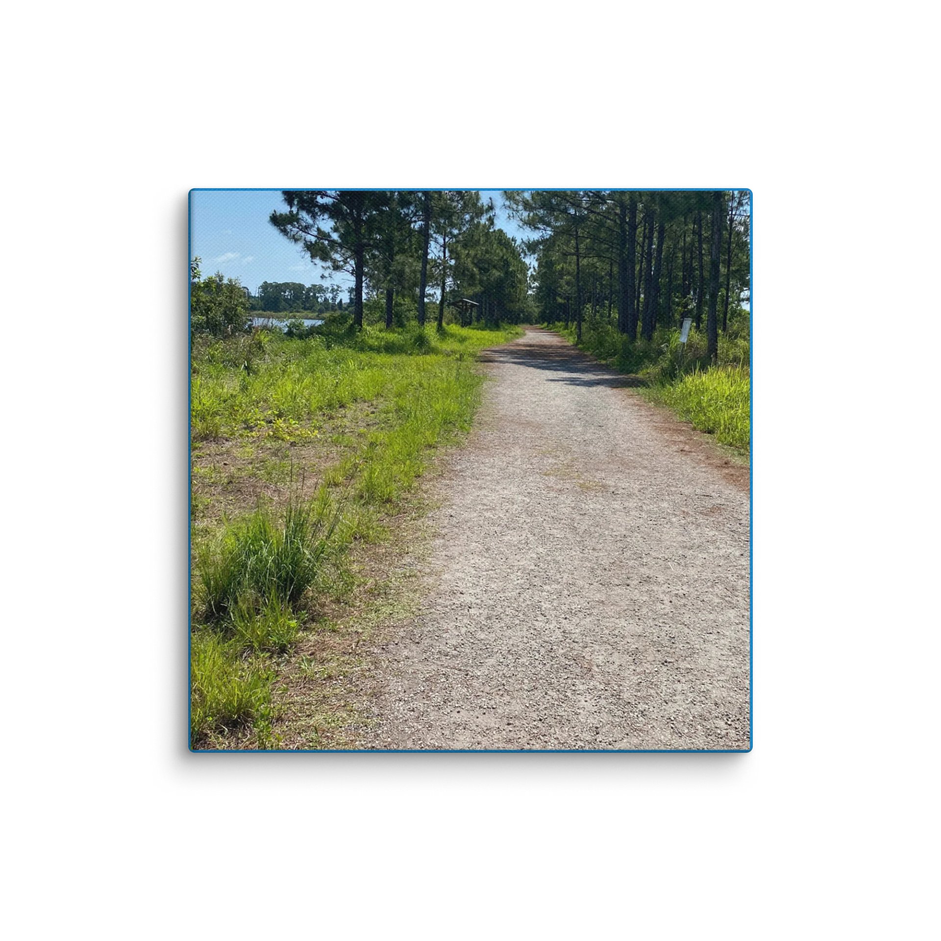 Nature's Canvas Pathway product image (1)