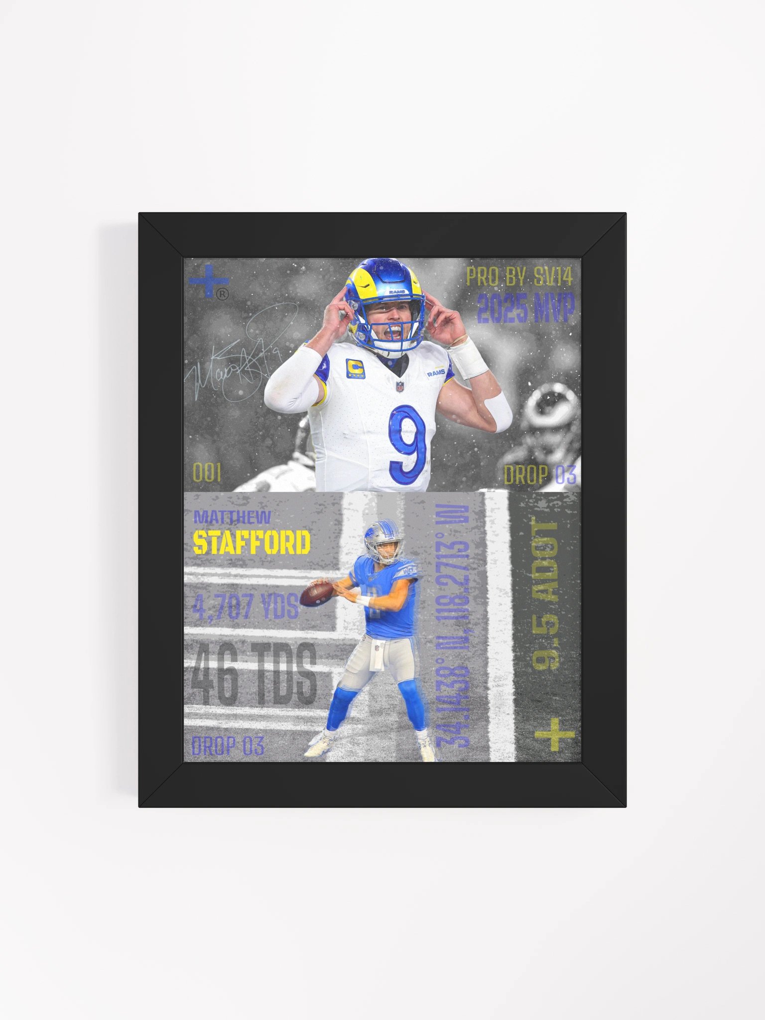 25' SIGNED STAFFORD FRAME product image (4)