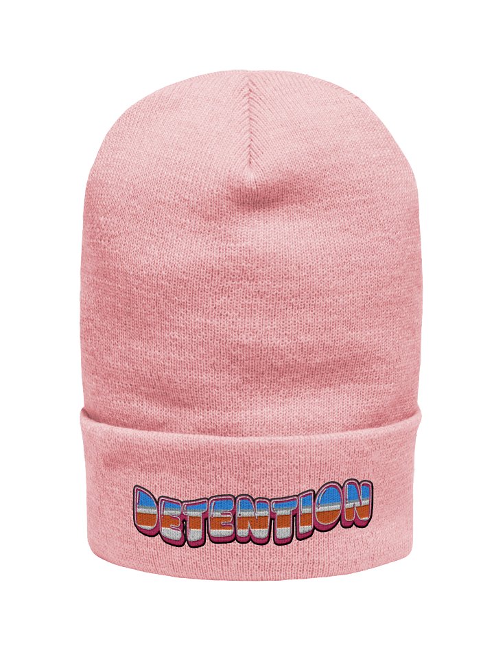 Beanie product image (1)