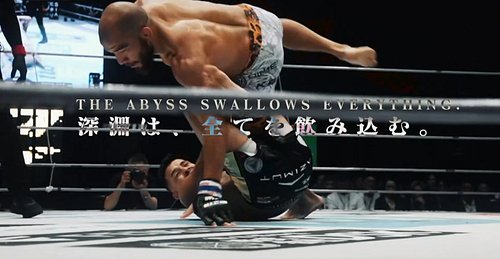 Rizin promo or game over screen from a Fromsoft title?