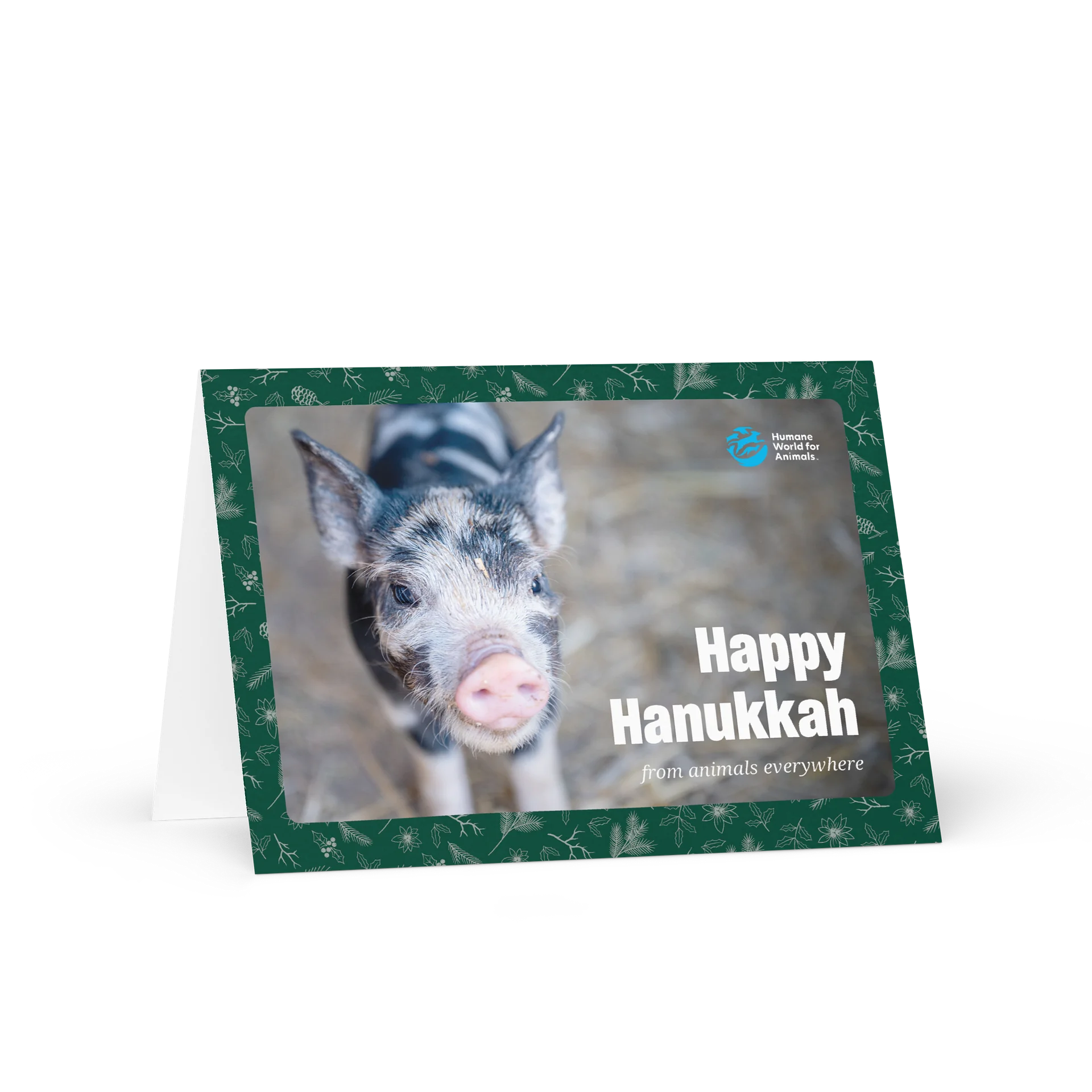 Hanukkah card - Pig design product image (1)