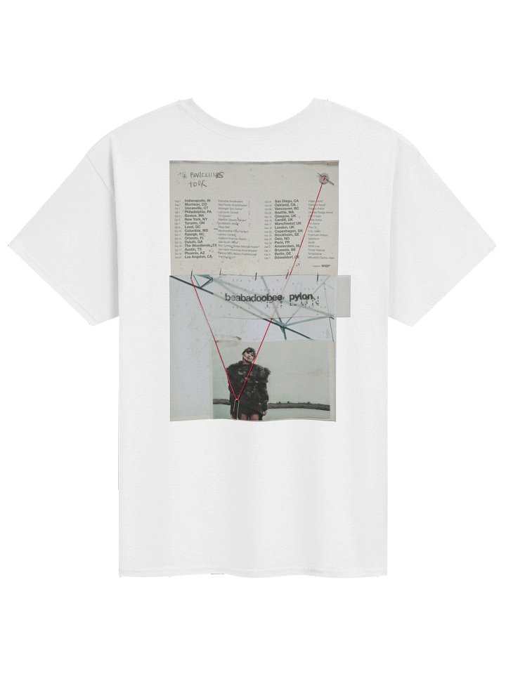 Beabadoobee Pylon Fall 2026 Tour Tshirt product image (22)