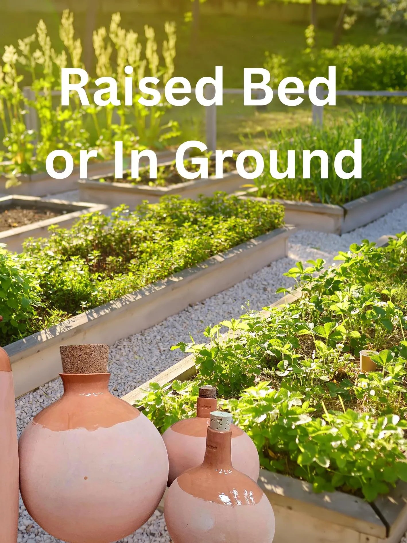 Small Olla Gardening product image (3)
