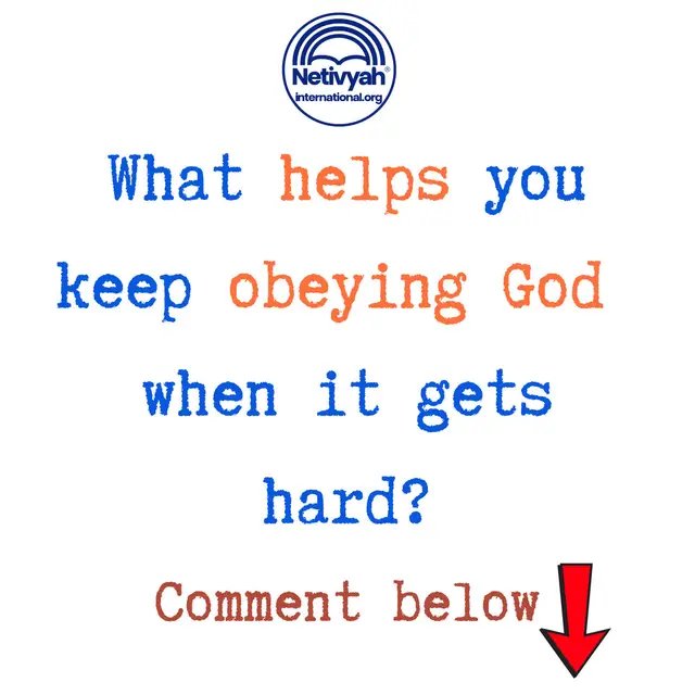 Obedience can feel especially heavy when the outcome remains uncertain. What helps you remain steady when doing what is right becomes costly? #Endurance #Obedience #Hebrews12 #Faithfulness #BibleStudy #ChristianCommunity #netivyahinternational #bethshulam