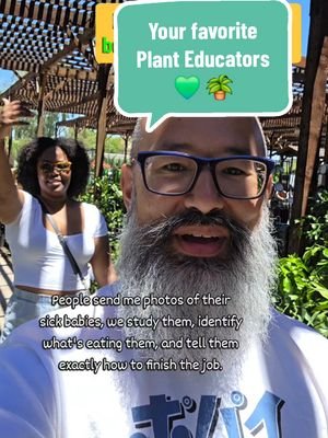 For legal reasons we are plant educators helping me identify and solve plant problems like pests, root rot, and more. 😬🪴 If you want direct access to us to help with your plants join the Misfits and Matcha Plant Lab [Check the bio]. #planteducation #plantscience #misfitaandmatcha #greenthumb #HouseplantTips
