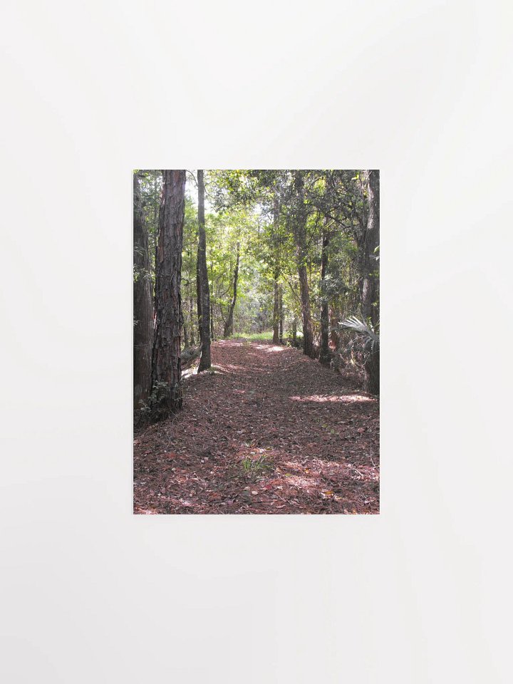 Florida Trail product image (4)
